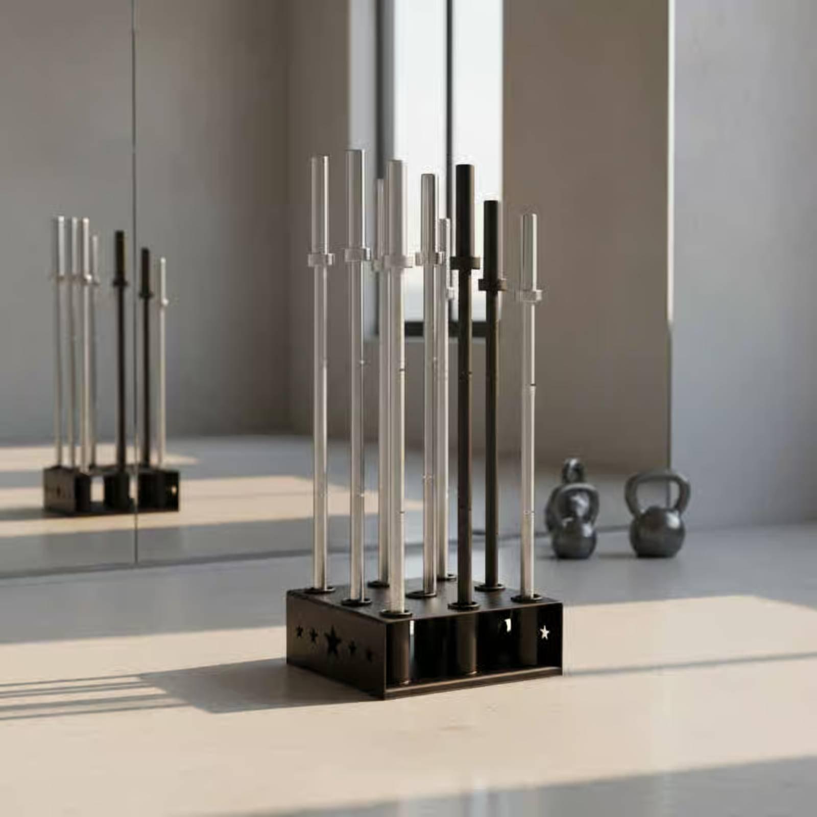 Floor Standing Weight Bar Rack - Home Gym Organization review and price