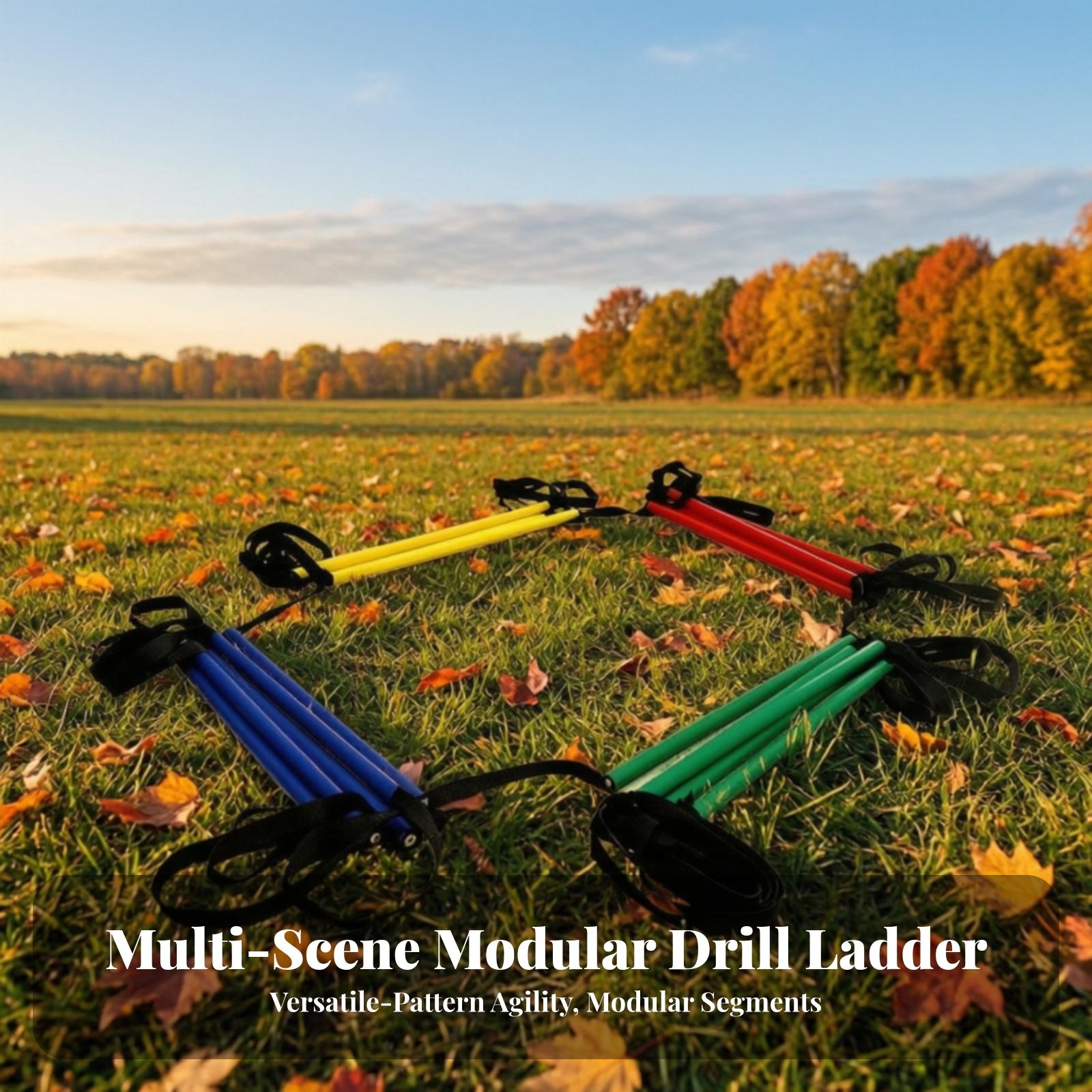 Portable Speed Ladder for Socc - Agility Ladder Speed review and price