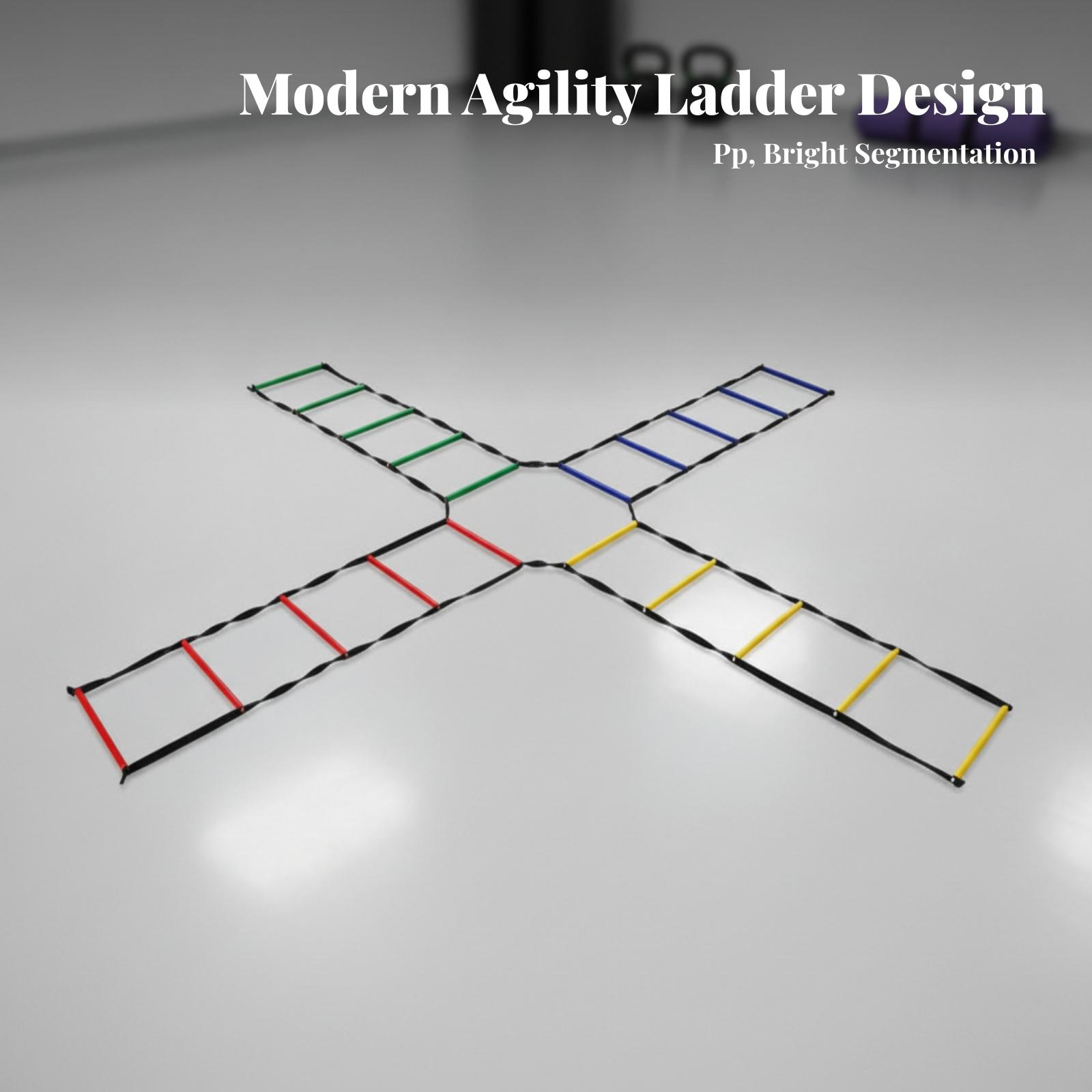 Portable Speed Ladder for Socc - Agility Ladder Speed review and price
