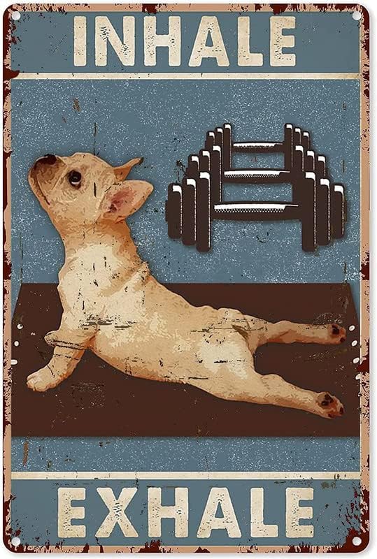 Dog Yoga Metal Tin Sign, Inhal - Home Gym In Garage review and price