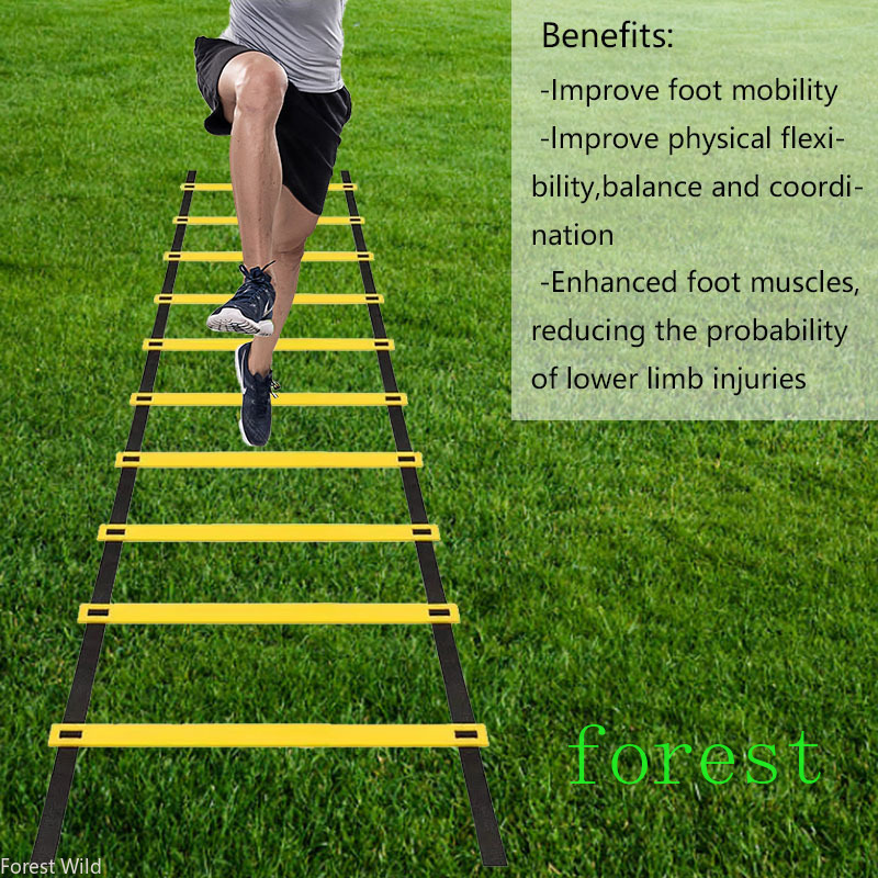 Agility Ladder Removable For S - Agility Ladder Speed review and price